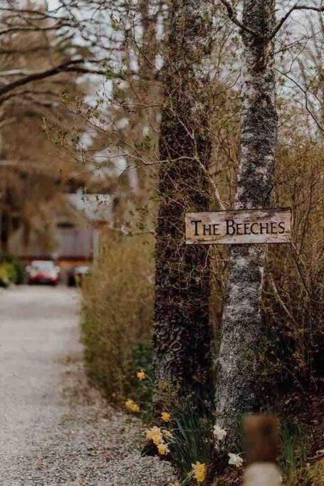 The Beeches Studio, Highlands Of Scotland 牛顿莫尔 外观 照片